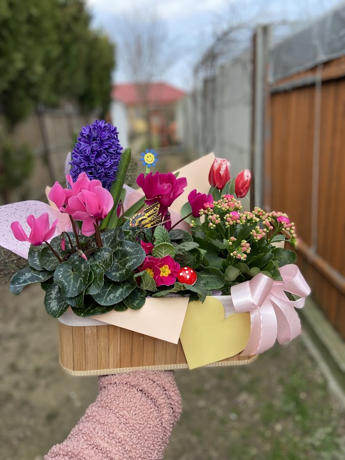 Flowers by Ary - Flori